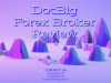 DotBig Forex Broker Review