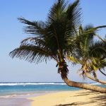 5 Fun Things to Do in Punta Cana