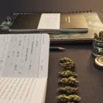 How Can You Create a Cannabis Business Plan?